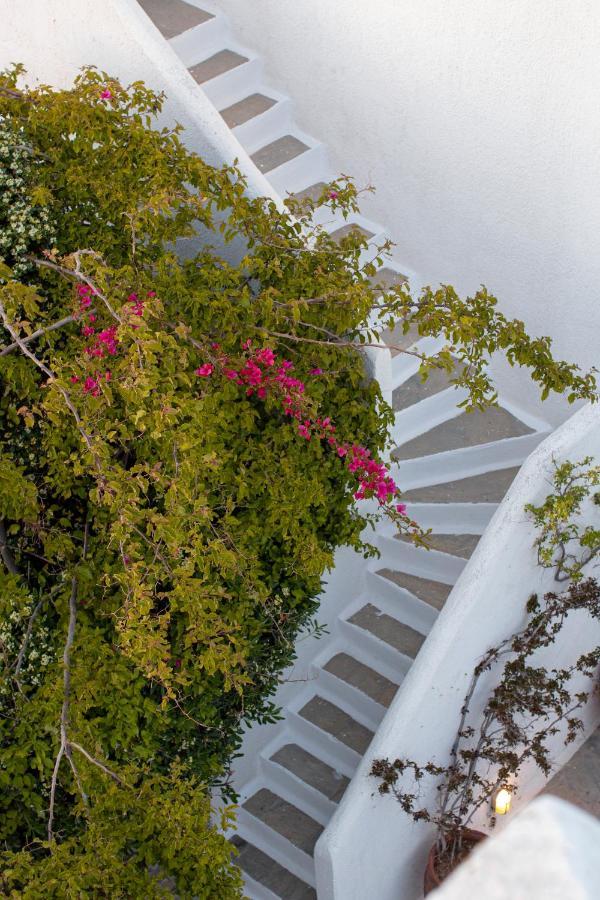 Andromeda Appart hôtel Mykonos Town